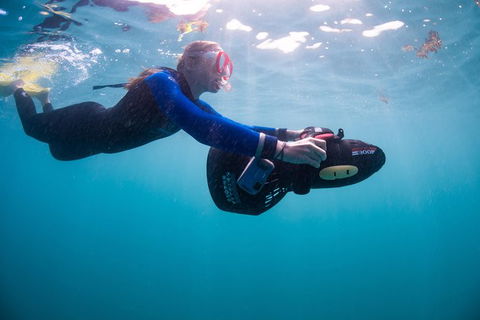 Full-Day Whale Sharks Swimming Experience On Ningaloo Reef - Brisbane Tourism 4