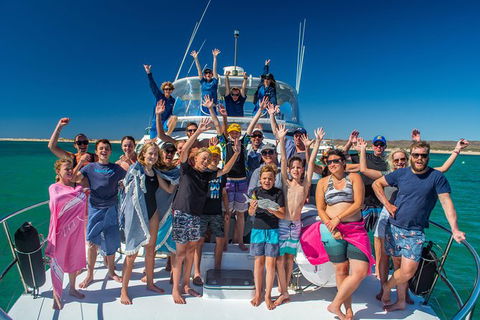 Full-Day Whale Sharks Swimming Experience On Ningaloo Reef - Brisbane Tourism 15
