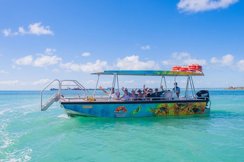 The Island Sandbar Experience - Tourism Brisbane 5