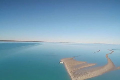 The Island Sandbar Experience - Tourism Brisbane 7