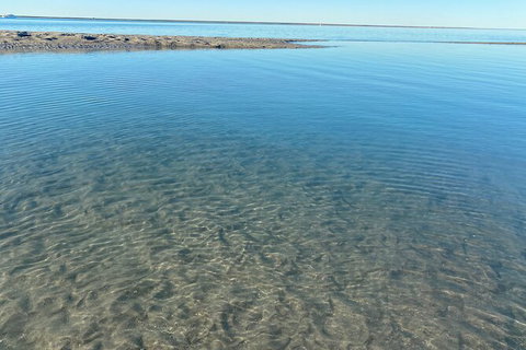 The Island Sandbar Experience - Tourism Brisbane 4
