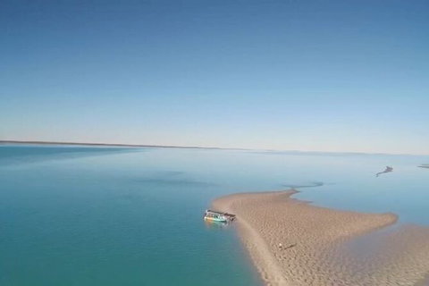 The Island Sandbar Experience - Tourism Brisbane 6