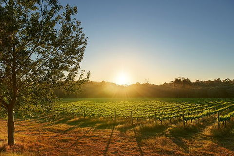 Private Barrel Hall Wine Tasting In The Margaret River Region - Tourism Brisbane 3