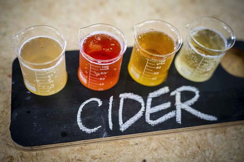 Bickley Valley Wine & Cider Tour - Premium Small Group Tour - Tourism Brisbane 1