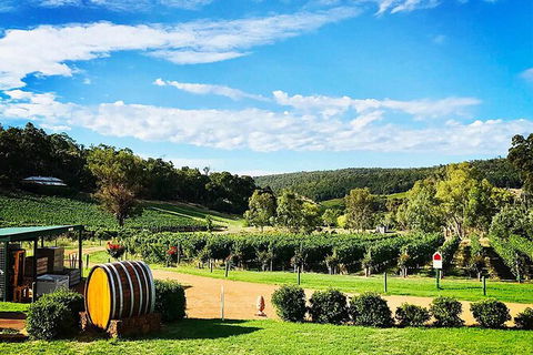 Bickley Valley Wine & Cider Tour - Premium Small Group Tour - Tourism Brisbane 0