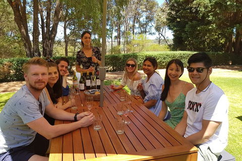 Full-Day Gourmet Wine Tour With Pick Up And Lunch - Tourism Brisbane 5