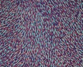 The Gate Gallery - Wollombi - Tourism Brisbane 0