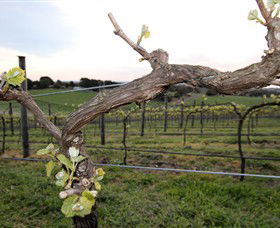 Drysdale VIC Tourism Brisbane