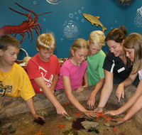 Naturaliste Marine Discovery Centre - Tourism Brisbane