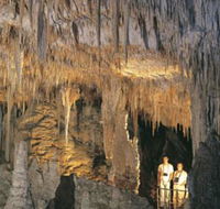 Mammoth Cave - Tourism Brisbane