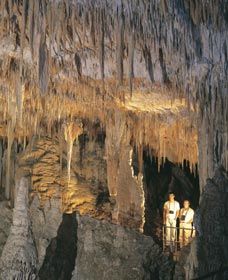 Mammoth Cave - Tourism Brisbane 0