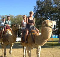 Calamunnda Camel Farm - Tourism Brisbane
