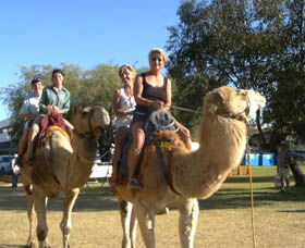 Calamunnda Camel Farm - Tourism Brisbane 0