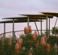 Reabold Hill Summit Boardwalk Bold Park - Brisbane Tourism