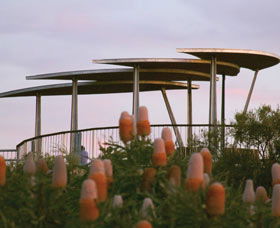 Reabold Hill Summit Boardwalk, Bold Park - Brisbane Tourism 0