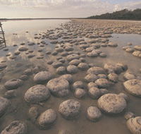 Lake Clifton Thrombolites - Tourism Brisbane