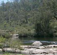 Wellington Discovery Forest - Tourism Brisbane