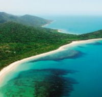 Jungle Tours and Trekking - Brisbane Tourism