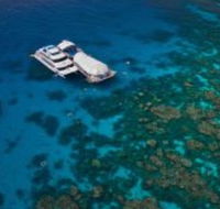 Great Adventures Reef and Green Island Cruises - Brisbane Tourism