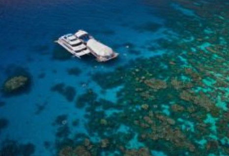 Great Adventures Reef And Green Island Cruises - Tourism Brisbane 0