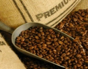 Coffee Works - Brisbane Tourism 1