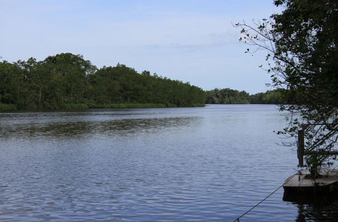 Daintree River Cruise Centre - Tourism Brisbane 2