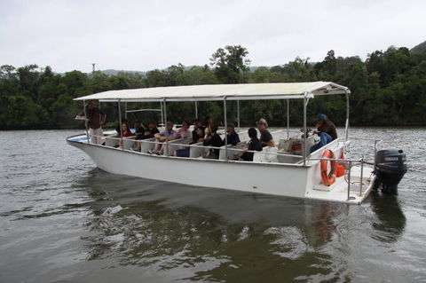 Daintree River Cruise Centre - Tourism Brisbane 3