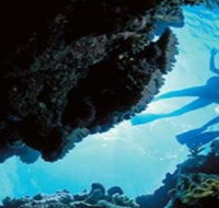 Deep Sea Divers Den - Tourism Brisbane