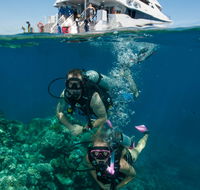 Down Under Cruise and Dive - Brisbane Tourism