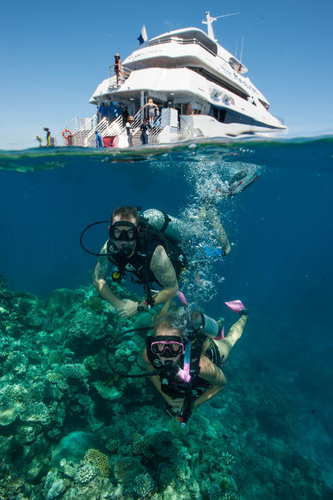 Down Under Cruise And Dive - Brisbane Tourism 0