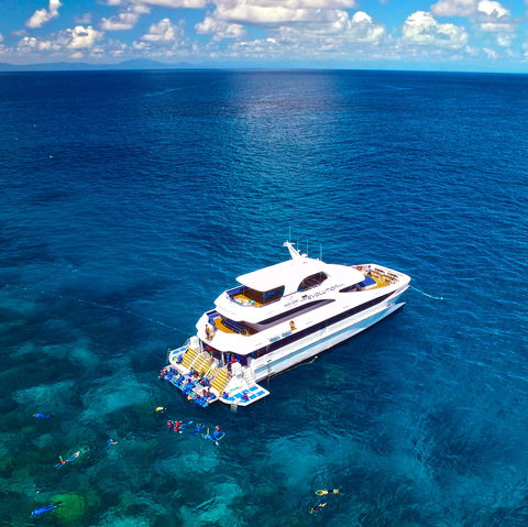 Down Under Cruise And Dive - Brisbane Tourism 1