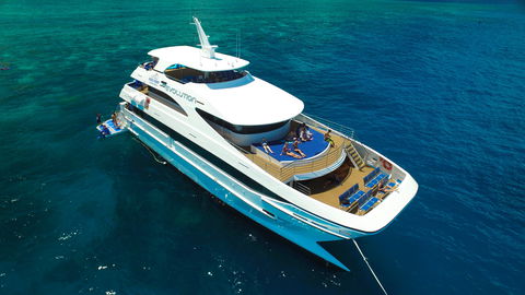 Down Under Cruise And Dive - Brisbane Tourism 2