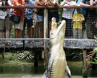 Wangetti QLD Tourism Brisbane