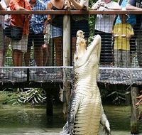 Hartley's Crocodile Adventures - Tourism Brisbane