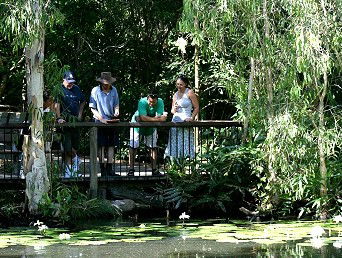 Hartley's Crocodile Adventures - Brisbane Tourism 2