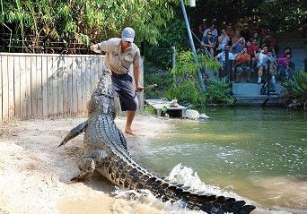 Hartley's Crocodile Adventures - Brisbane Tourism 4
