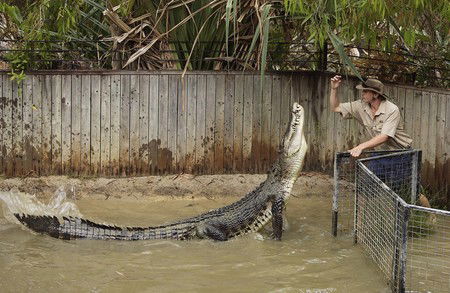 Hartley's Crocodile Adventures - Brisbane Tourism 8