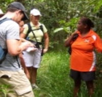 Ingan Tours - Spirit of the Rainforest Tour - Tourism Brisbane