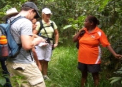 Ingan Tours - Spirit Of The Rainforest Tour - Brisbane Tourism 0