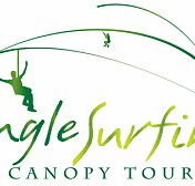 Jungle Surfing Canopy Tours and Jungle Adventures Nightwalks - Tourism Brisbane