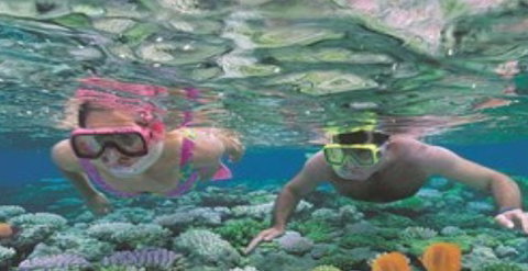 Quicksilver Cruises - Tourism Brisbane 2