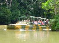 Rainforestation Nature Park - Brisbane Tourism 4