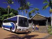 Rainforestation Nature Park - Brisbane Tourism 5