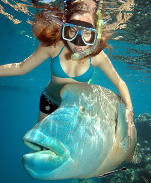 Reef Magic Cruises - Brisbane Tourism 1