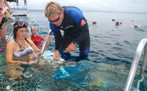 Reef Magic Cruises - Brisbane Tourism 4