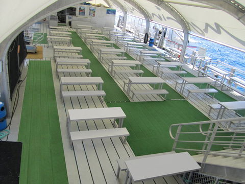 Reef Magic Cruises - Brisbane Tourism 5