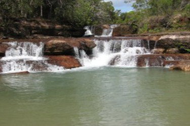 Tagalong Tours Of Australia - Tourism Brisbane 1