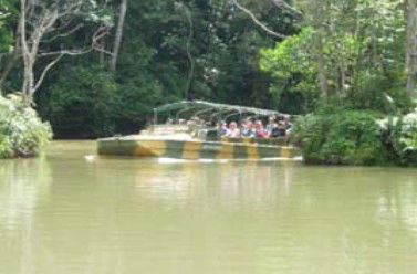 Tropic Wings Coach Tours - Brisbane Tourism 1
