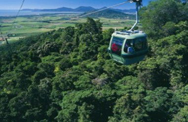Tropic Wings Coach Tours - Brisbane Tourism 2