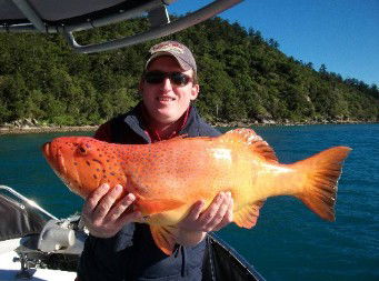 Gone Fishing By Coral Sea Fishing Charters Airlie Beach - Tourism Brisbane 0
